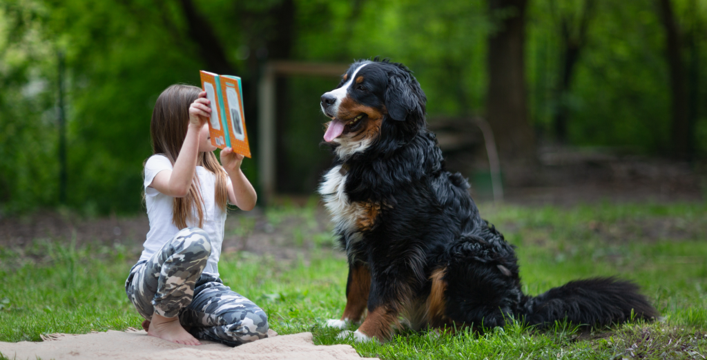 Punča kaže kužku knjigo